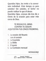 Our Lady of Tihalijna Prayercard Spanish